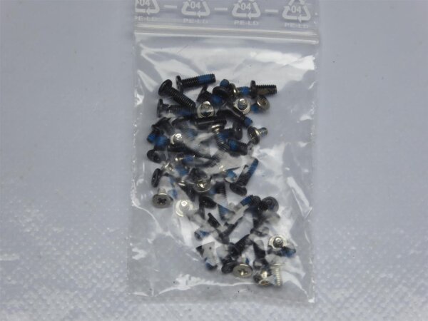 Dell Latitude E4300 Schraubensatz Screws Set #2752