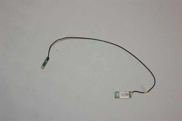 Sony Vaio VPCF115FM PCG-81114L Bluetooth Modul mit Kabel 073-0101-7538_A  #2829