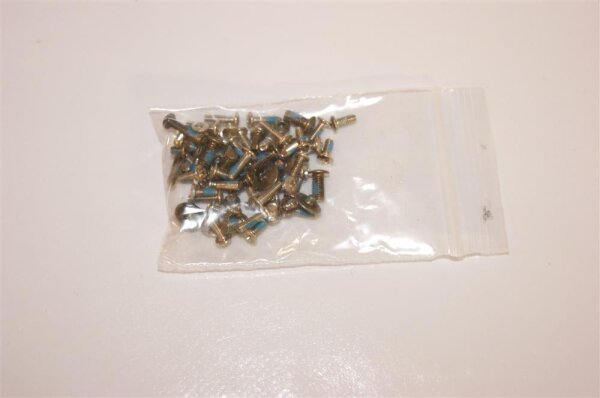 Sony Vaio PCG-7X1M VGN-N21S Schraubensatz Screws Set #2968