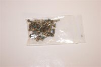 Sony Vaio PCG-7X1M VGN-N21S Schraubensatz Screws Set #2968