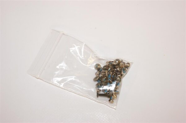 Sony Vaio PCG-6P2M VGN-C1S Schraubensatz Screws Set #2978