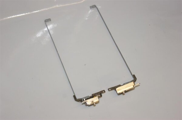 HP G62-a15EO Displayscharniere incl. Leisten L+R 1A01EQ00HT5 #3047