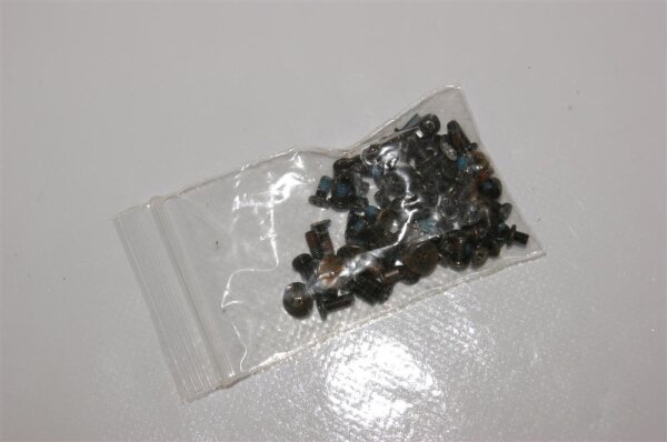 Fujitsu Amilo Li 3910 Schraubensatz Screws Set #3069