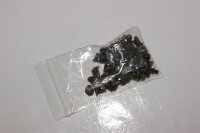 Fujitsu Amilo Li 3910 Schraubensatz Screws Set #3069