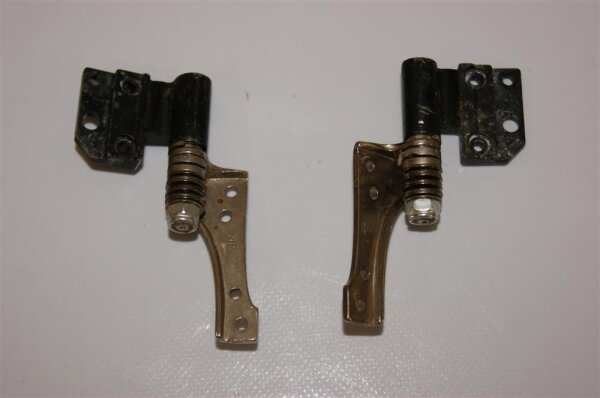 Alienware P01E Displayscharniere Scharniere Hinges L+R #3099