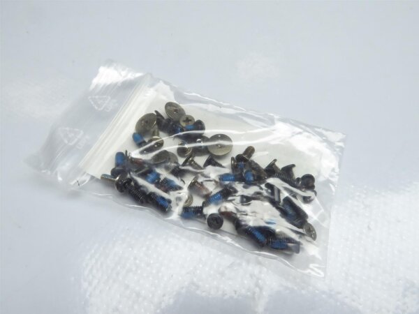 Toshiba Satellite Pro C650-139 Schraubensatz Screws Set #3119