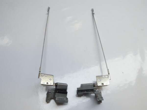 HP EliteBook 8560w Displayscharniere inkl. Leisten L+R 1A01LB200-HT4-G #3136