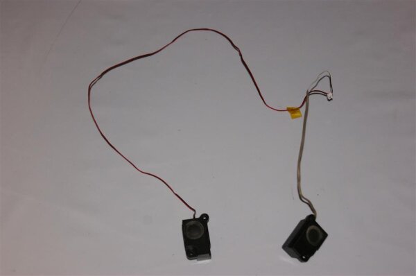 MSI EX623 ORIGINAL Lautsprecher Soundspeaker #3198