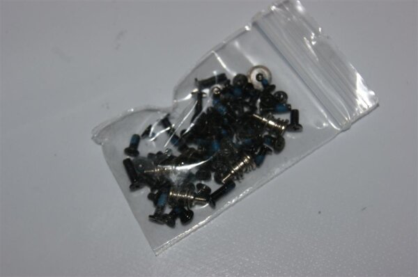 Dell Latitude E5430 E5430v Schraubensatz Screws Set  #3199