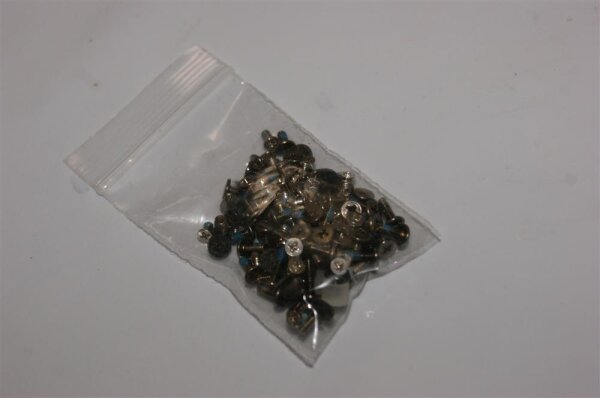 ASUS G1S Schrauben Screws Set #2383