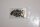 Toshiba Satellite Pro S500-14M Schraubensatz Screws Set #3297