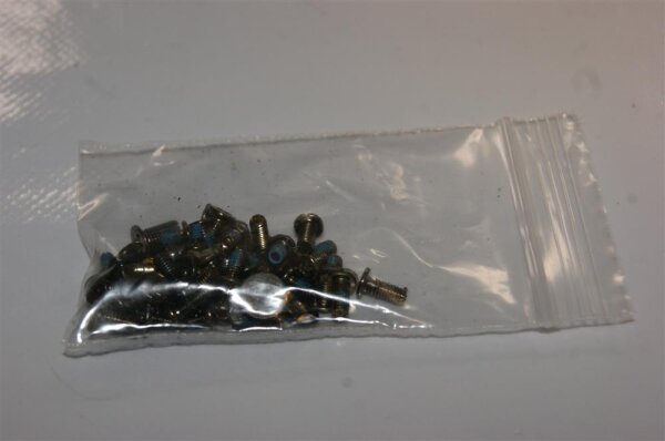 Medion Erazer X6816 Schraubensatz Screws Set  #3309