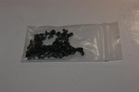 Dell Precision M2400 Schraubensatz Screws Set #3403
