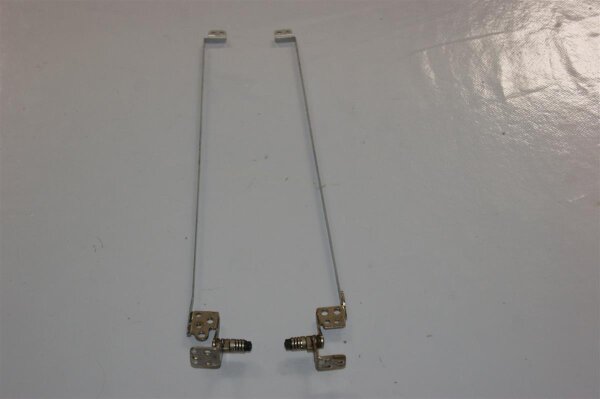 Sony Vaio PCG-7Z1M Displayscharniere Scharniere incl. Leisten L+R  #3460