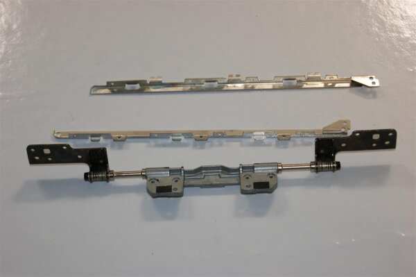 Alienware M15x P08G Scharniere Scharnier incl. Leisten #3492