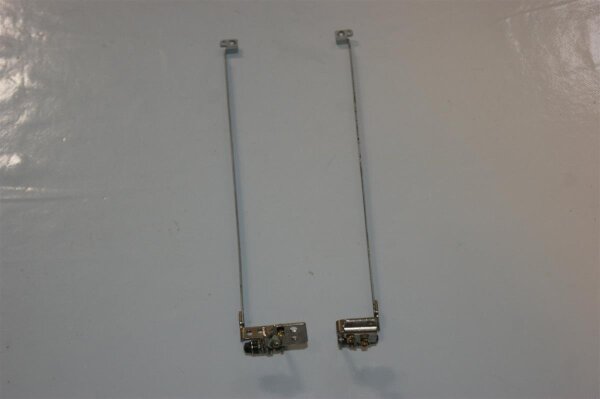 ACER ASPIRE 5736Z Displayscharniere incl. Leisten L+R AM0C9000500 #2469