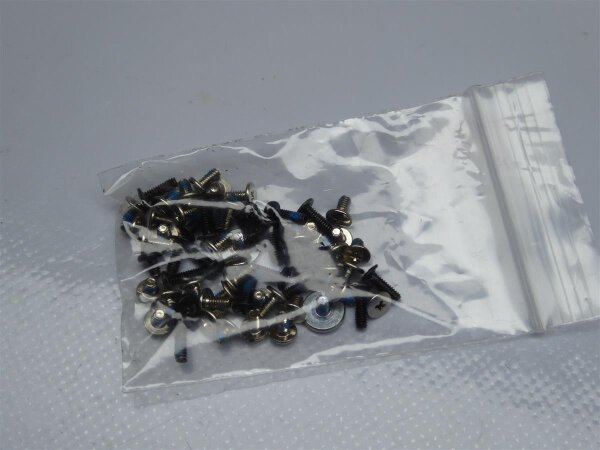 Samsung 300E NP300E5E Schraubensatz Screws Set #3580