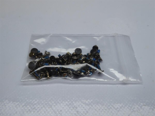 Medion Akoya S4216 Schraubensatz Screws Set #3525