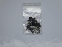 Lenovo Ideapad S400 Schraubensatz Screws Set #3668