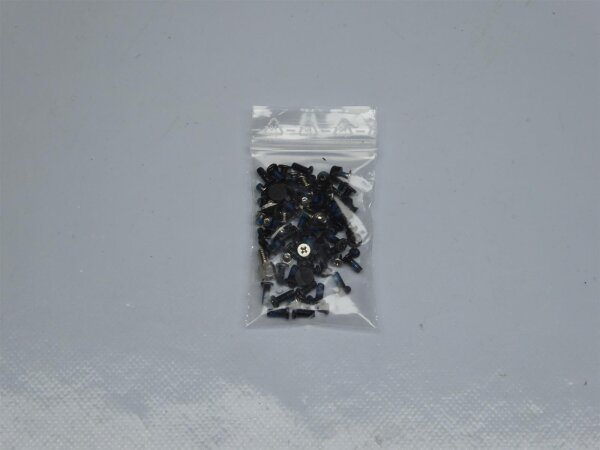 P/B EasyNote SJ51 Schraubensatz Screws Set #3702