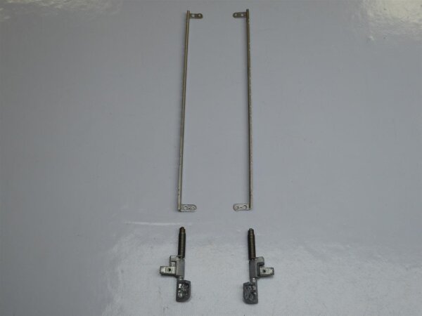 Alienware M17 R1 Displayscharniere incl. Leisten L+R #3771