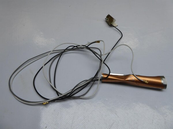 Alienware M17 R1 WLAN Antenne Antennensatz B2475050G00002 #3771