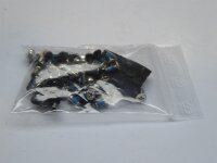 MSI GT70 Schraubensatz Screws Set  #3837