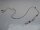ASUS N76V Webcam Kamera Modul mit Kabel PK40000HH10 #3886
