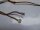 Apple MacBook Pro 17" A1151 Webcam Inverter Kabel #3759
