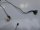 Lenovo G50-80 Videokabel Displaykabel DC02001MH00 #3988