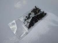 Lenovo B590 Schraubensatz Screws Set #4010
