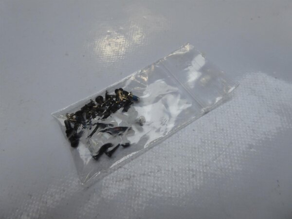 HP Pavilion 17-e104ed Schraubensatz Screws Set #4011