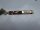 Asus X71J Webcam Kamera Modul mit Kabel 04G623001410 #4029