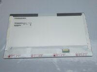 Au Optronics B173RW01 V.0 17,3 Display glossy...