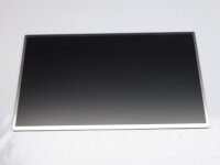 Medion Akoya P6634 15,6 Display Panel matt LTN156AT17 #4074