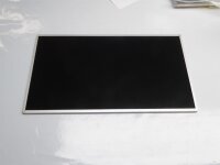 Dell Inspiron P25F001 15,6 LED Display glänzend...