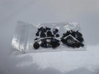 P/B EasyNote NS11-HR MS2317 Schraubensatz Screws Set #4111