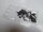 Acer Aspire E1 Serie Schraubensatz Screws Set #4145