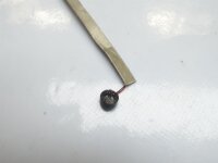 MSI GP60 2PF Leopard Mikrofone Micro #4147