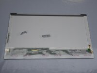 Au Optronics B156GW01 V.6 15, Display  glänzend...