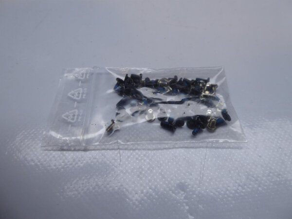MSI GP70 2PE Leopard Schraubensatz Screws Set #4255