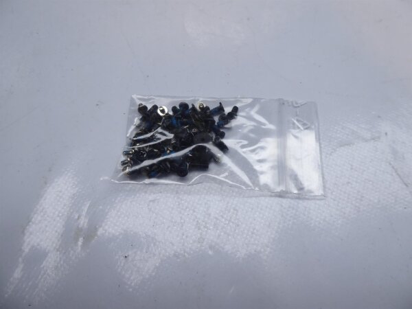 MSI GT60 Schraubensatz Screws Set #4291