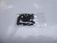 MSI GP70 2QF Schraubensatz Screws Set  #4292
