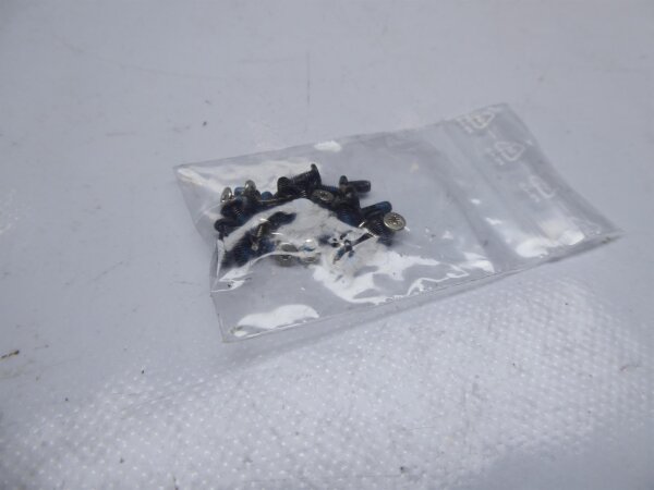 MSI GT683DX Schraubensatz Screws Set  #4311