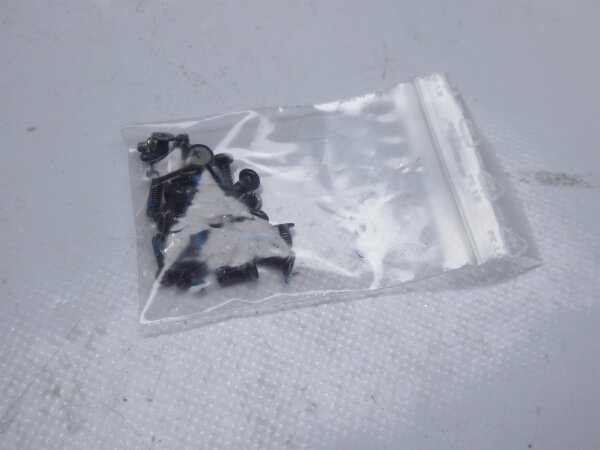 Medion Akoya P6624 Schraubensatz Screws Set  #2430