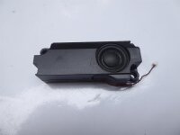 MSI GX70 Lautsprecher Subwoofer  #4338