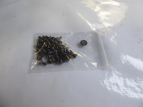 MSI A6400 MS-16Y1 Schraubensatz Screws Set  #4066