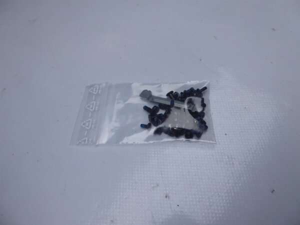 Dell Latitude E5250 Schraubensatz Screw Set #4371