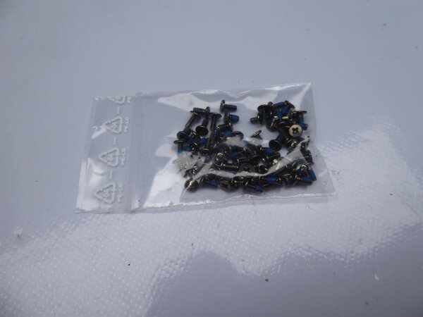 Medion Akoya P6816 Schraubensatz Screw Set #3946