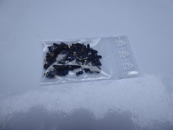 MSI GE70 2PE Schraubensatz Screws Set #4387